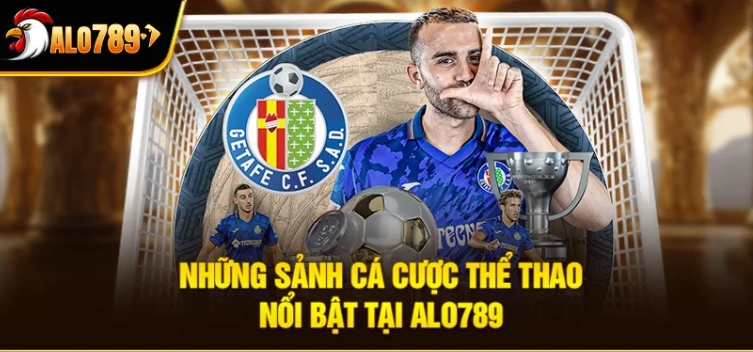 ALO789 Sports – The Elite Platform for Professional Bettors
